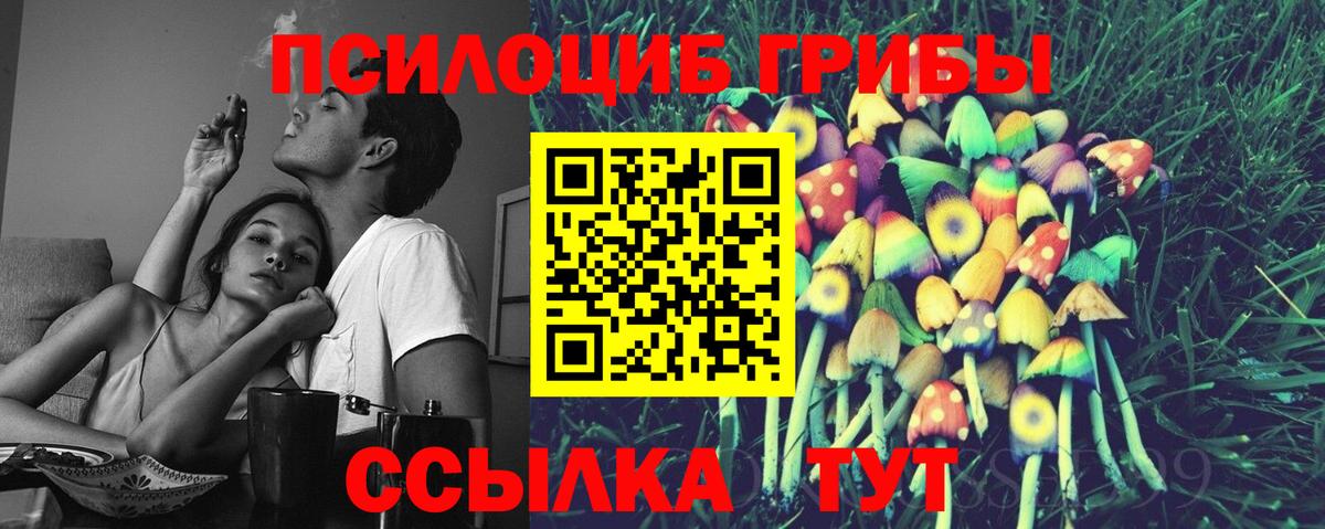 Галлюциногенные грибы Psilocybe  Вход с VPN  Рязань  Галлюциногенные грибы мухоморы 